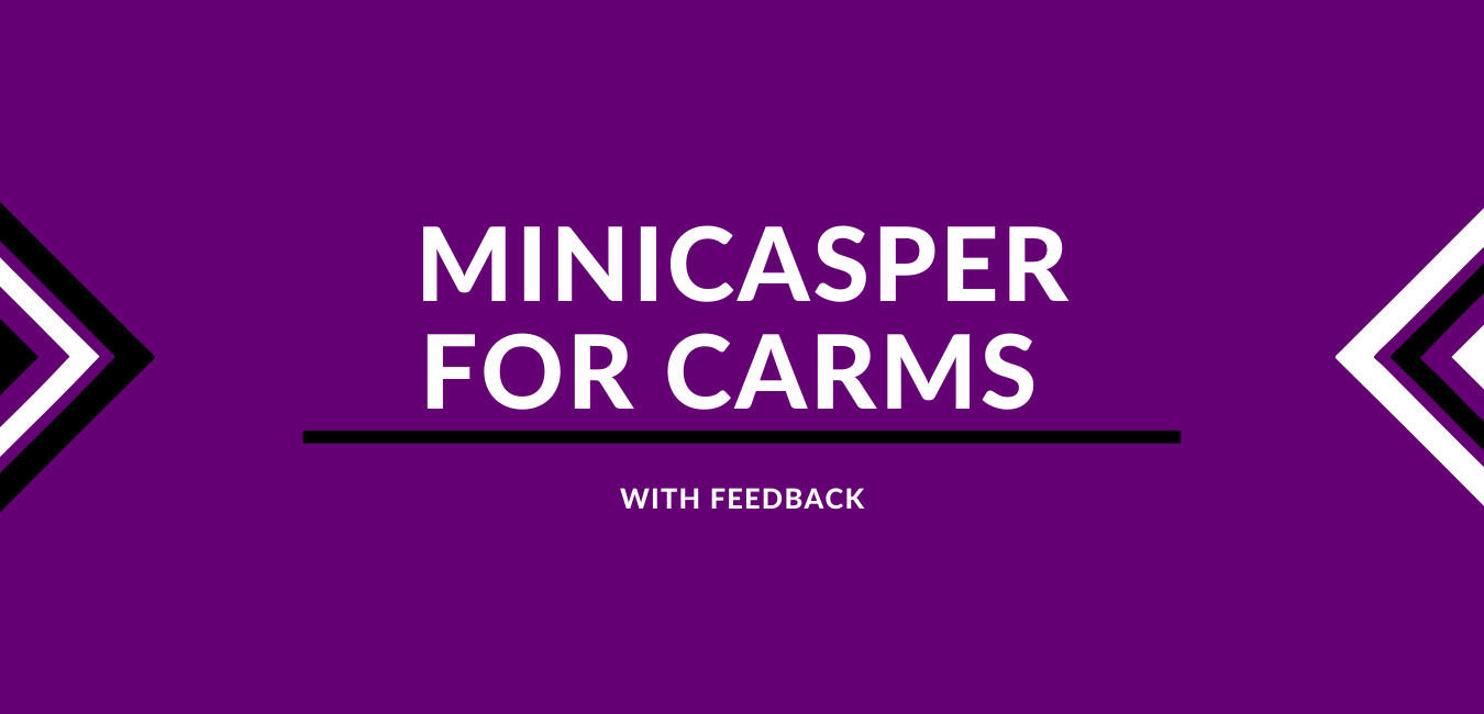 MiniCASPer for CARMs: English with Feedback